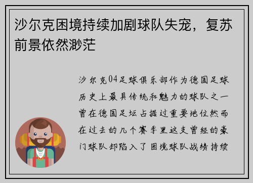 沙尔克困境持续加剧球队失宠，复苏前景依然渺茫